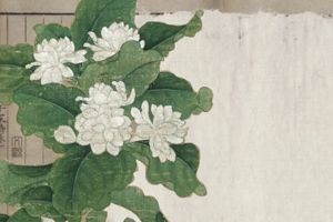 Cultural Icon of Jiangsu:The Charm of Intangible Cultural Heritage “Jasmine Flower”