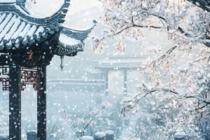 Winter Solstice: Awaiting Spring through the Longest Night